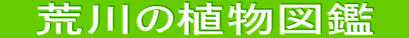 @r̐A}Ӂ@